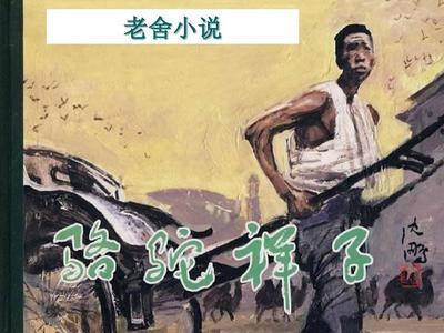 猎奇避难所在线观看